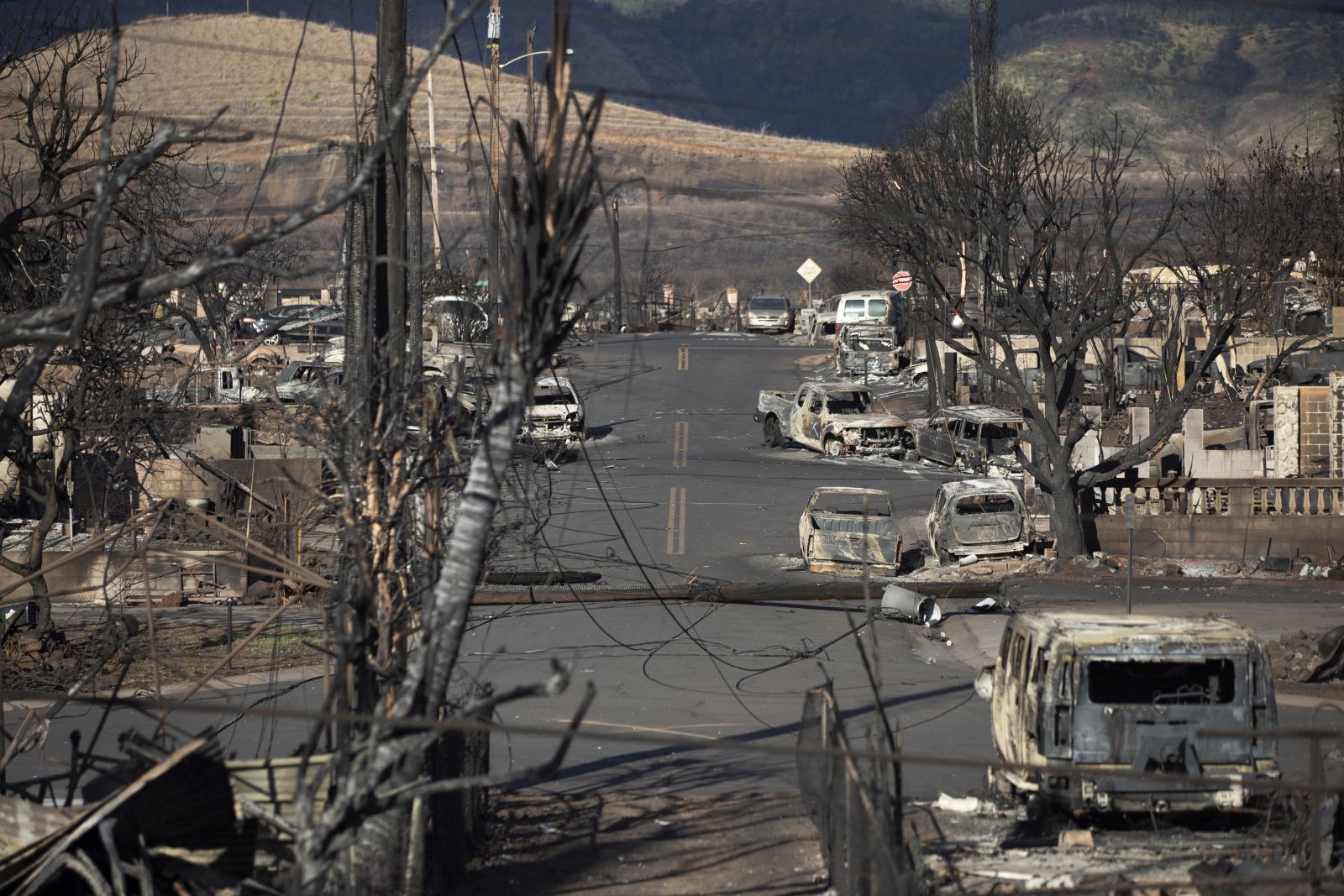 epa10799486 Burnt trees and cars and the ruins of houses are what is left after the Lahaina fire burnt through the city, in Lahaina, Hawaii, USA, 13 August 2023. At least 93 people were killed in the wildfires burning in Maui, which is considered the largest natural disaster in Hawaii's state history.  EPA/ETIENNE LAURENT
