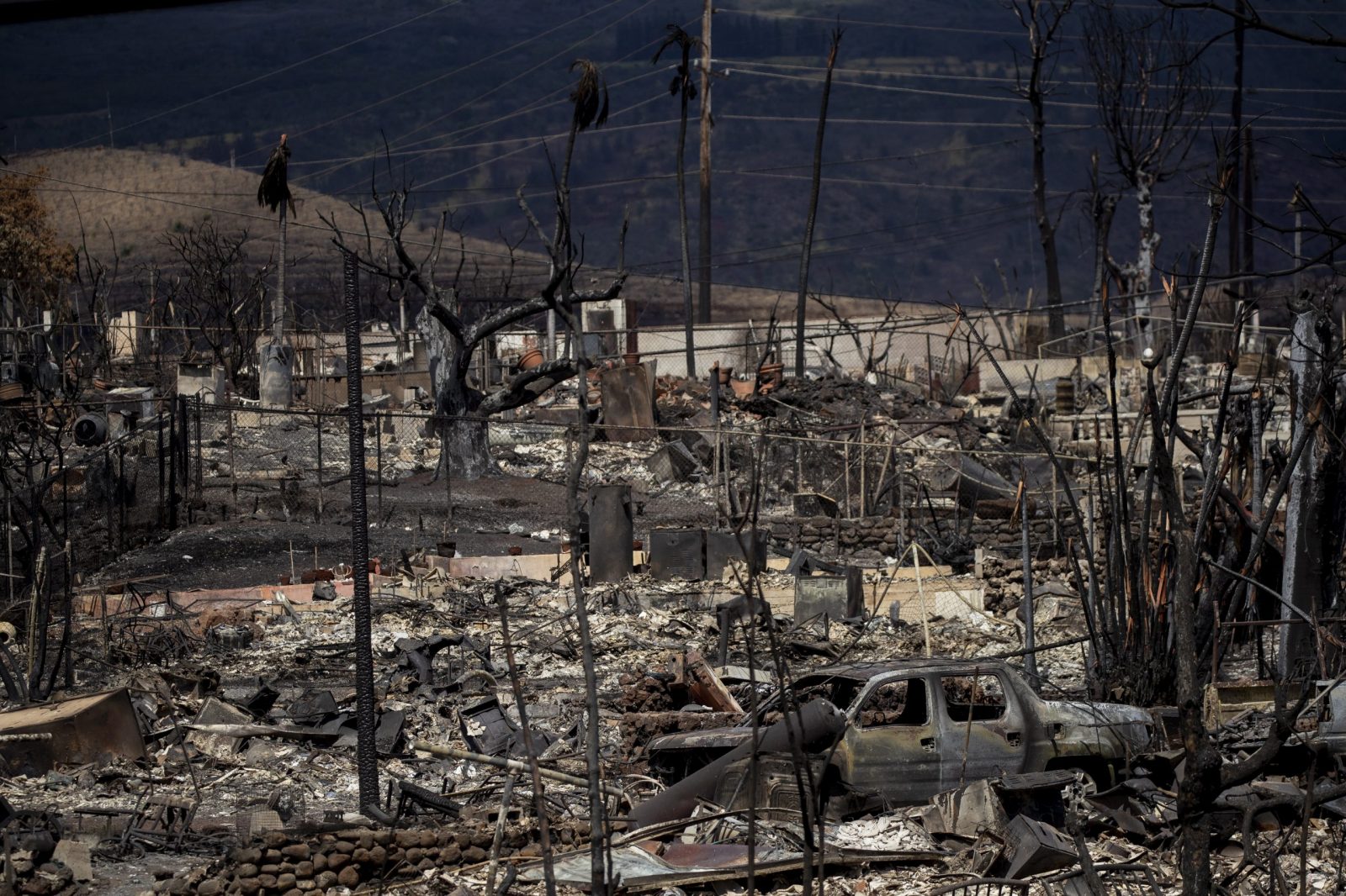 epa10802245 Burned out cars and houses are all that remains after a wildfire swept through a neighborhood in Lahaina, Hawaii, USA, 15 August 2023. At least 99 people were killed in the Lahaina wildfire that burnt in Maui, which is considered the largest natural disaster in Hawaii's state history.  EPA/ETIENNE LAURENT