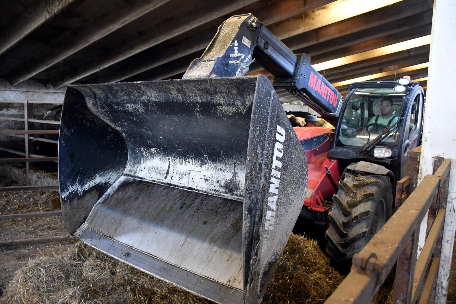 02.09.2019., Veliki Zdenci - Manitou viljuskar pomaze u efikasnijoj proizvodnji i distribuciji stocarske hrane. Ovaj vilicar na farmi u V. Zedencima u godini dana je odradio cak 5.000 radnih sati. "n"nPhoto: Damir Spehar/PIXSELL