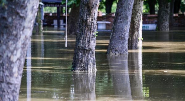 08.08.2023., Soderica - Ljudi brane vikendice uz jezero Soderica dok Drava koja ulazi u jezero dize vodostaj. Photo: Igor Soban/PIXSELL