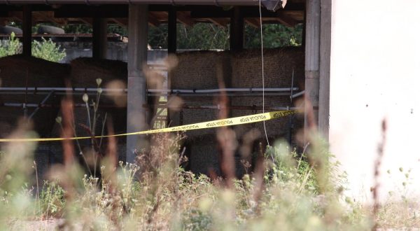 NAJBOLJA MOGUCA KVALITETA 11.08.2023., Gradacac, Bosna i Hercegovina - Policijski ocevid na farmi na kojoj je trostruki ubojica Nermin Sulejmanovic pocinio samoubojstvo. Photo: Pixsell/PIXSELL