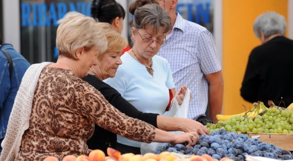 31.07.2012., Varazdin - Ovaj tjedan na varazdinski plac stigle su domace sljive. Prodaju se od 6 do 8 kuna po kilogramu."nPhoto: Marko Jurinec/PIXSELL