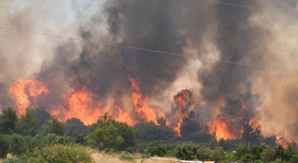 13.07.2023.,Sibenik - Izbio je pozar na otvorenom prostoru kod sela Gornjih Banjevaca u Grebastici. Na intervenciju su izasli 8 postrojbi s ukupno 12 vozila i 33 vatrogasaca. U pozaru sudjeluju i tri kanadera. Gasenje u tijeku Photo: Hrvoje Jelavic/PIXSELL