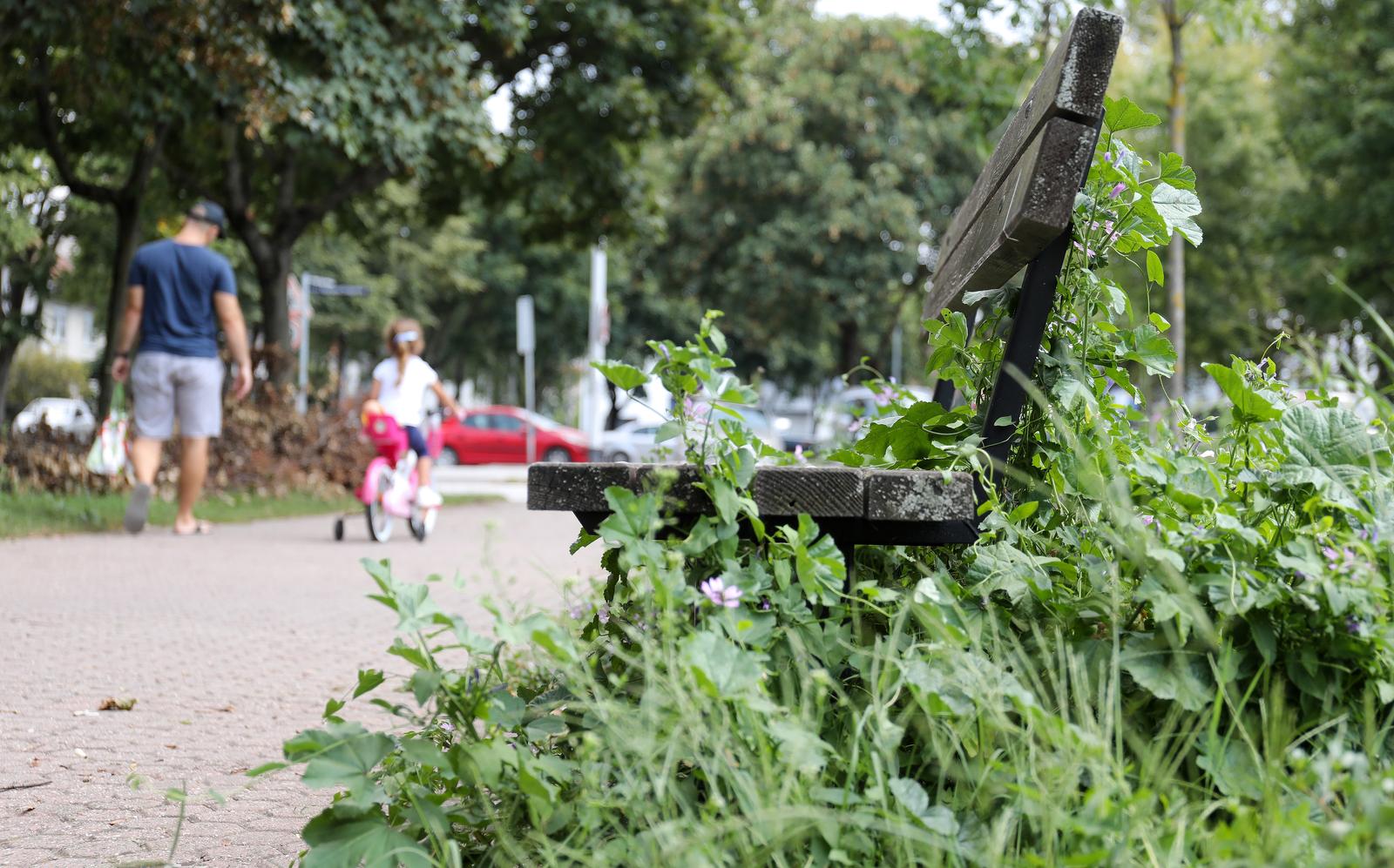 20.08.2023., Zagreb, Gradske zelene povrsine zarasle su u visoku travu, obisli smo Srednjake, Jarun i Spansko naselje no svagdje je slicna i zpustena situacija Photo: Emica Elvedji/PIXSELL