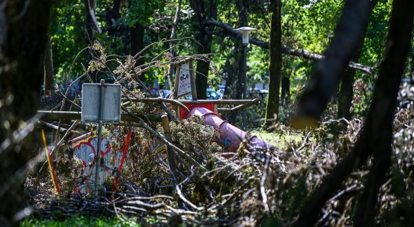 28.07.2023., Zagreb - Park mladenaca je jedan od najvise stradalih parkova koji je stradao u oluji koja je pogodila grad prosle srijede gdje su unistena mnoga stabla.
Ideja iza projektiranja ovog parka, za kojeg je zasluzan arhitekt Smiljan Klaic, bila je da mladenci nakon sklapanja u brak u parku zasade jedno stablo kao simbol ljubavi koja ce rasti i razvijati se, sa svakim novim brakom, park je rastao, a prvo je stablo zasađeno u studenom 1967. godine. Imena mladenaca su se upisivala u knjigu parka, a mogli su i nazočiti sadnji.

 Photo: Igor Soban/PIXSELL