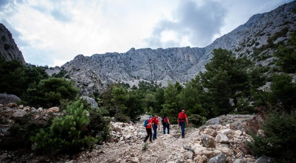 04.08.2020., Makarska - Preko dvjesto clanova HGSS-a vec peti dan traga za Poljakom koji je nestao na Biokovu na najnepristupacnijem podrucju te planine, s liticama visine i do 500 metara.rAngazirano je i sest bespilotnih letjelica, tri potrazna tima s psima, kao i helikopter HRZ-a, te brojna lovacka i planinarska drustva koja su se dobrovoljno javila i ponudila pomoc.rPhoto: Milan Sabic/PIXSELL