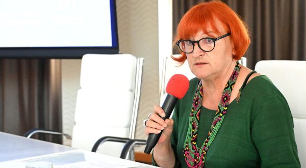 29.6.2023., Zagreb - U Hotelu Dubrovnik odrzana je konferencija Sto mozemo bolje Prevencija seksualnog nasilja nad djecom. Photo: Davorin Visnjic/PIXSELL