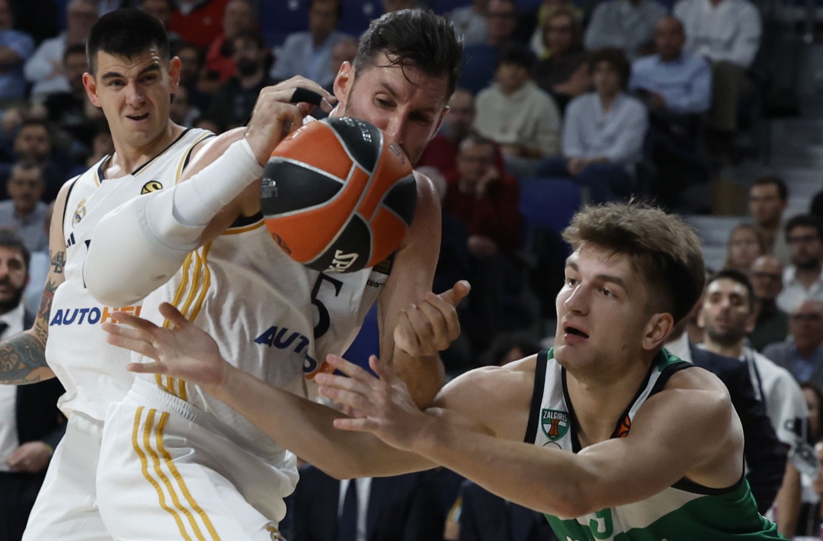 epa10924347 Real Madrid's Rudy Fernandez (L) in action against Zalgiris Kaunas' Dovydas Giedraitis during the Euroleague basketball match between Real Madrid and Zalgiris Kaunas, in Madrid, Spain, 17 October 2023.  EPA/JUANJO MARTIN