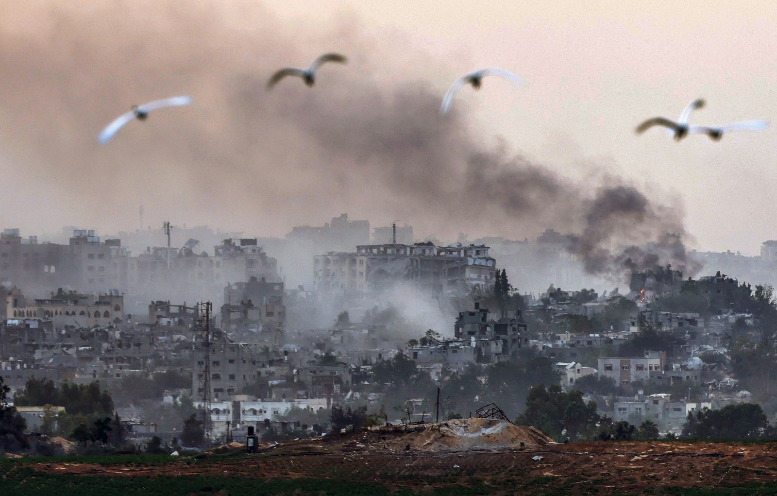 epa10947517 Birds pass as smoke rises from the northern part of the Gaza Strip as a result of an Israeli strike, 29 October 2023. More than 7,600 Palestinians and at least 1,300 Israelis have been killed, according to the Israel Defense Forces (IDF) and the Palestinian health authority, since Hamas militants launched an attack against Israel from the Gaza Strip on 07 October, and the Israeli operations in Gaza and the West Bank which followed it.  EPA/HANNIBAL HANSCHKE