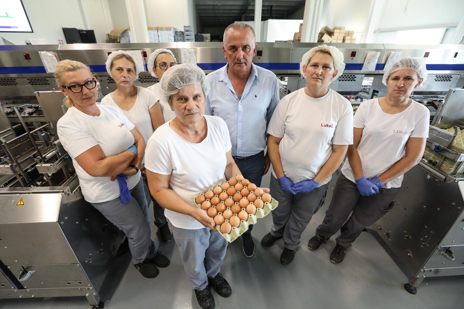 23.08.2023., Ivanic Grad - Farma kokosi nesilica u vlasnistvu obitelji Lukac u Derezanima. Vlasnik farme Marijan Lukac na cijoj je farmi inspekcija analizom uzoraka pronasla salmonelu, tvrdi da mu se podmece i da su nalazi krivotvoreni, jer su epruvete i stapici za uzimanje uzoraka bili otvoreni, tj. nisu bili zatvoreni u originalnoj ambalazi. Photo: Robert Anic/PIXSELL