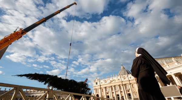 epa10990528 A nun looks on as a fir tree from Italy's Piemonte region is brought to St. Peter's Square to serve as a Christmas tree, Vatican, 23 November 2023.  EPA/GIUSEPPE LAMI
