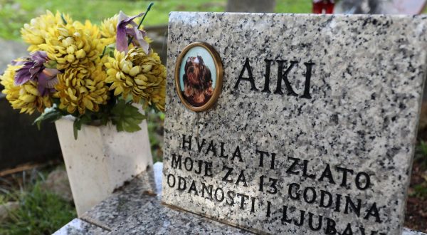 01.11.2023.,Rijeka - Grobovi kucnih ljubimaca na groblju kucnih ljubimaca na Kozali ukraseni cvijecem i svijecama na Dan mrtvih. 
 Photo: Goran Kovacic/PIXSELL
