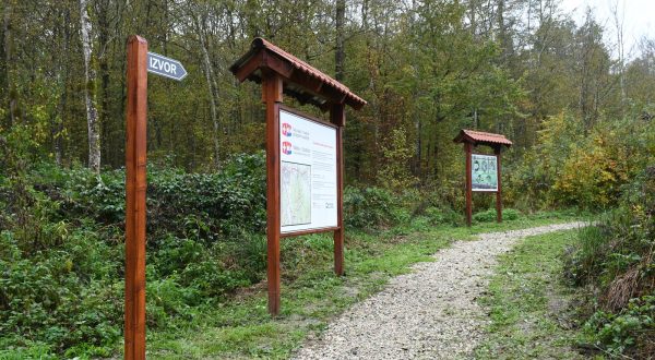 10.11.2023., Petrinja  - U Kotar sumi prigodnom svecanosti obiljezeno je  uredjenja edukativne staze na razminiranom dijelu Kotar sume koje je financirano u okviru Svicarsko-hrvatskog programa suradnje.
Dogadjaju je nazocila drzavna tajnica Ministarstva regionalnoga razvoja i fondova Europske unije Zrinka Raguz, Nj. E. Urs Hammer, veleposlanik Svicarske Konfederacije u Republici Hrvatskoj, gradonacelnica Petrinje Magdalena Komes i drugi gosti.
Photo: Nikola Cutuk/PIXSELL Photo: Nikola Cutuk/PIXSELL