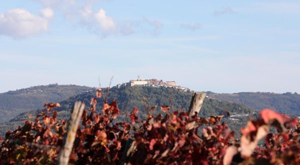 16.10.2021., Zavrsje - Boje jeseni u vinogradima Istre s pogledom na Motovun.   Photo: Goran Kovacic/PIXSELL