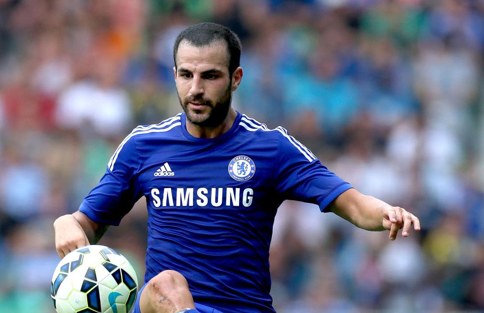 27.07.2014., Ljubljana, Slovenija - Na stadionu Stozice odigrana je prijateljska utakmica NK Olimpija Ljubljana - FC Chelsea. Cesc Fabregas"nPhoto: Marko Lukunic/PIXSELL
