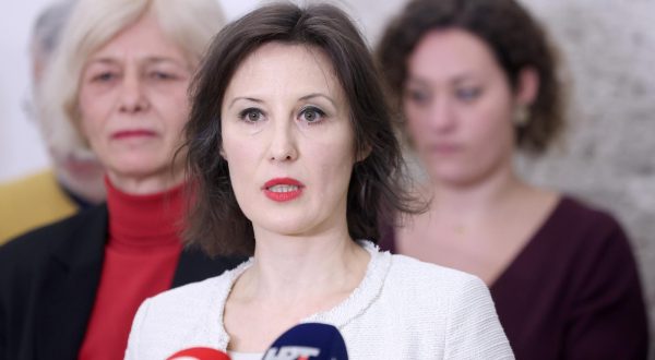 05.12.2023., Zagreb - U Saboru je odrzan okrugli stol  „Sto se dogadja sa zvizdacima u Hrvatskoj?“u organizaciji zastupnice Dalije Oreskovic.
 Photo: Patrik Macek/PIXSELL
