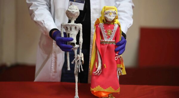epaselect epa11072447 Two pieces that look like small mummies that were seized in October 2023 at the Lima airport and that were going to be sent to Mexico, are presented at a press conference by the Ministry of Culture of Peru with the results of an expert opinion, in Lima, Peru, 12 January 2024. Different experts from the Ministry of Culture and the Peruvian Prosecutor's Office described as 'fraud' some alleged extraterrestrial mummies very similar to those presented by the 'ufologist' Jaime Maussan. The two dolls were found in a box in a warehouse of an international logistics company in a Lima province.  EPA/Paolo Aguilar