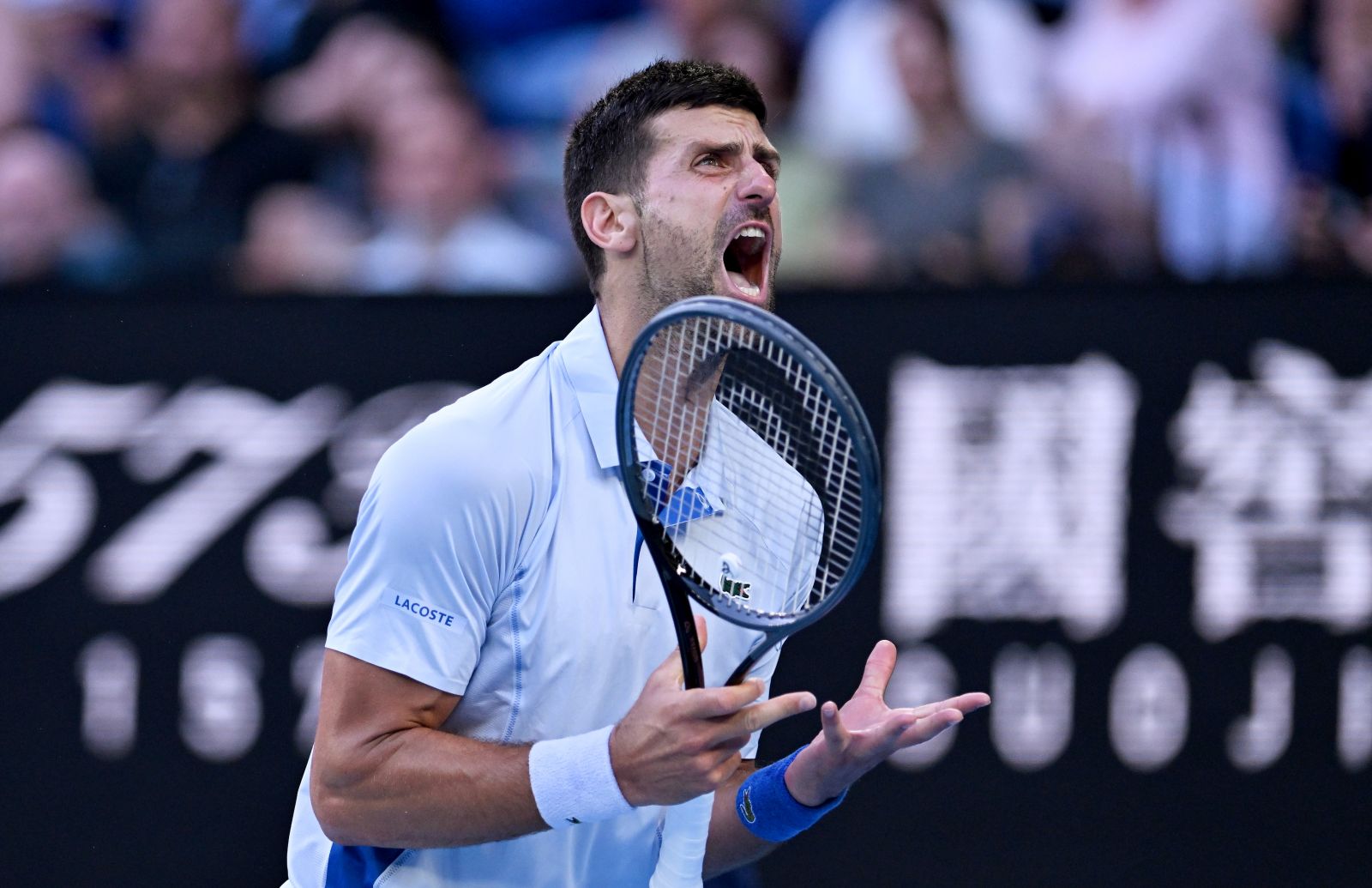epa11097922 Novak Djokovic of Serbia yells during his quarterfinal match against Taylor Fritz of USA at the 2024 Australian Open in Melbourne, Australia, 23 January 2024.  EPA/LUKAS COCH AUSTRALIA AND NEW ZEALAND OUT