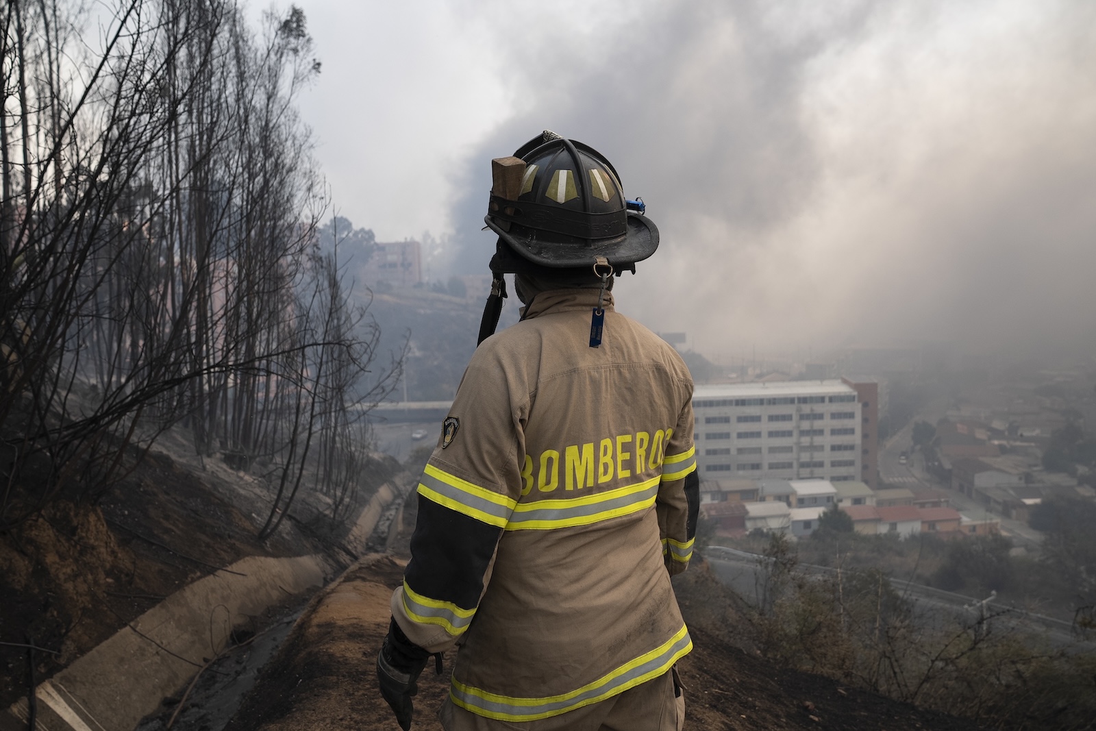 epa11124886 A firefighter observes the forest fires affecting the Beagle Channel area, Vina del Mar, Valparaiso Region, Chile, 03 February 2024. The fires in the central region of Valparaiso have caused at least 19 deaths, according to official reports.  EPA/ADRIANA THOMASA