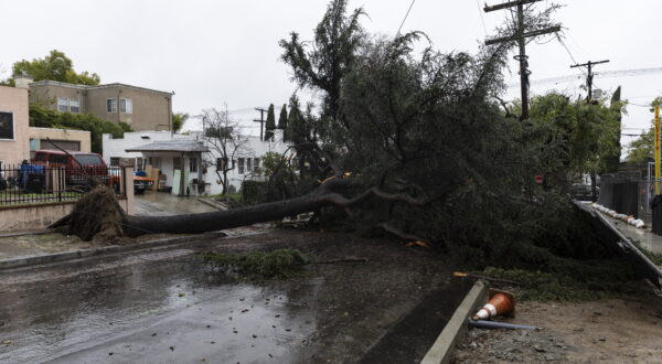 epa11129716 A large tree toppled by winds blocks an entire street as a storm sweeps through Southern California bringing torrential rains and high winds, in Los Angeles, 05 February 2024.  EPA/ETIENNE LAURENT