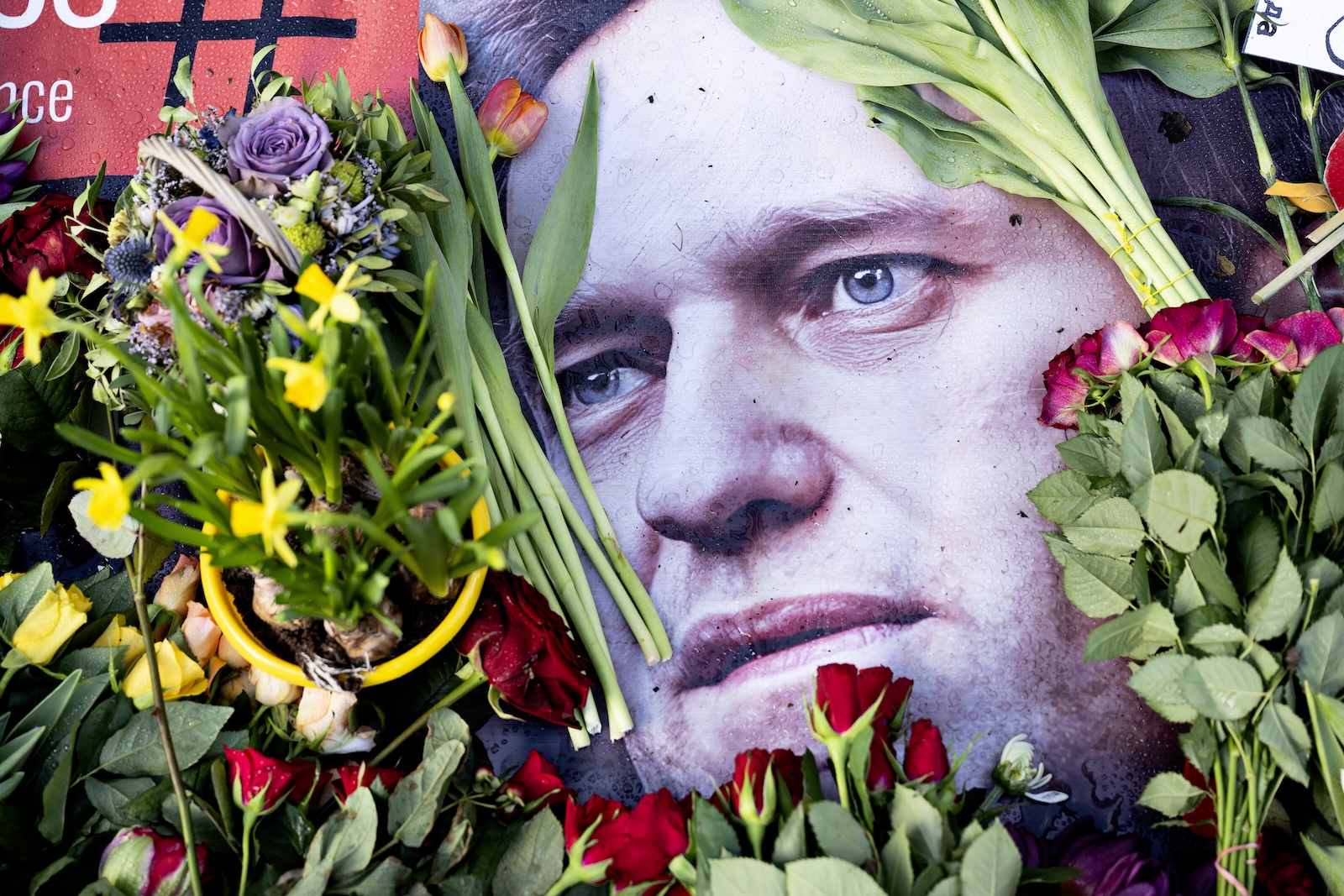 epa11160590 Flowers and tributes in front of the Russian Embassy during a demonstration on the occasion of the death of Alexei Navalny, in Copenhagen, Denmark, 17 February 2024. Russian opposition leader and outspoken Kremlin critic Alexei Navalny died aged 47 in a Siberian penal colony, Russian prison services announced on 16 February 2024.  EPA/NILS MEILVANG DENMARK OUT
