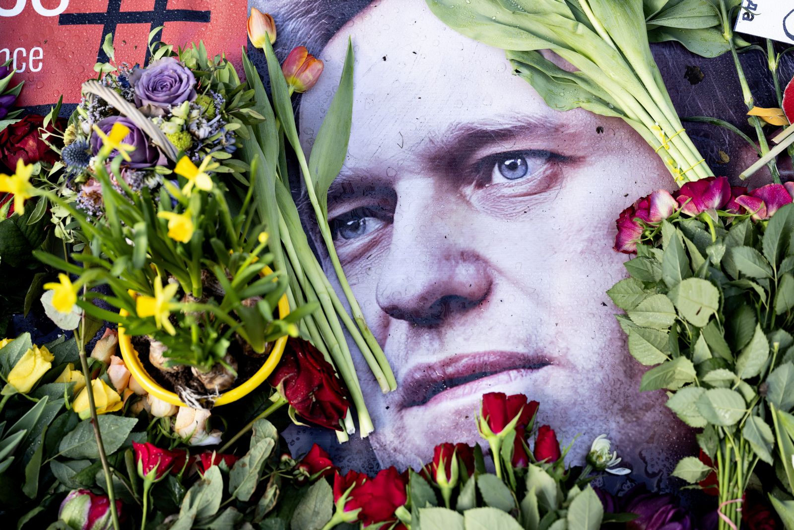 epa11160590 Flowers and tributes in front of the Russian Embassy during a demonstration on the occasion of the death of Alexei Navalny, in Copenhagen, Denmark, 17 February 2024. Russian opposition leader and outspoken Kremlin critic Alexei Navalny died aged 47 in a Siberian penal colony, Russian prison services announced on 16 February 2024.  EPA/NILS MEILVANG DENMARK OUT