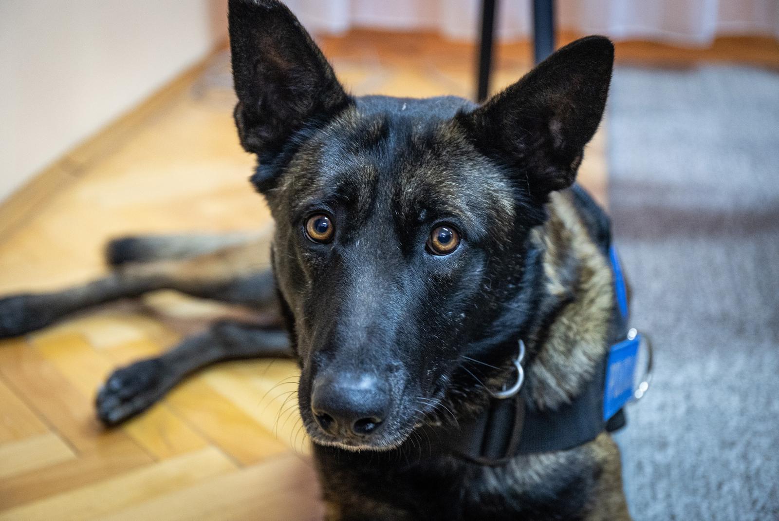 22.02.2023. Osijek - U Policijskoj Upravi osjecko-baranjskoj odrzala se konferencija za medije povodom pronalaska oko 11 kilograma heroina na granicnom prijelazu Batina. Photo: Davor Javorovic/PIXSELL