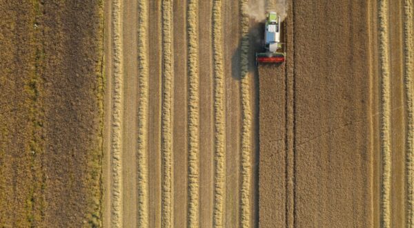 Harvest of the barley around Luxembourg