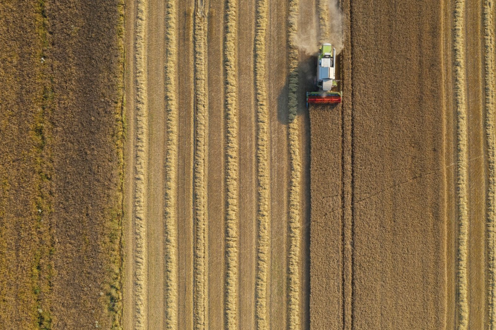 Harvest of the barley around Luxembourg
