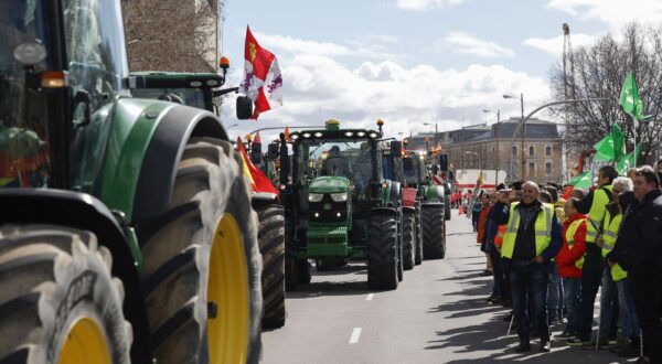 epa11182446 Farmers from various parts of Spain drive their tractors along the Paseo del Prado near the Agriculture Minister to number 46 of the Paseo de la Castellana, where the European Parliament Office in Spain is located, in Madrid, Spain, 26 Spain 2024. Protests of Spanish farmers have entered a third week while in Brussels an EU Agriculture and Fisheries Council meeting is held.  EPA/J.J. GUILLEN