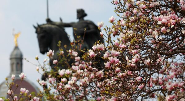 28. 03. 2012., Zagreb - Sarene proljetnice osvjezile parkove. Spomenik kralju Tomislavu.rrPhoto: Davor Puklavec/PIXSELLr