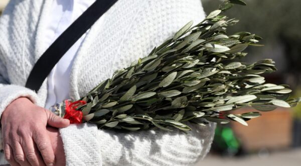 02.04.2023., Sibenik - Na blagdan Cvjetnice ili Cvjetne nedjelje mons. Tomislav Rogic, biskup sibenski blagoslovio je maslinove grancice svojim sugradjanima.  Photo: Dusko Jaramaz/PIXSELL