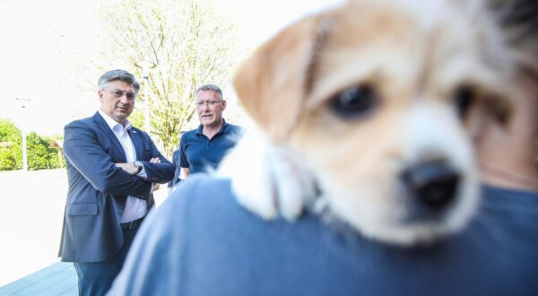 13.04.2024., Zagreb - Predsjednik Vlade Andrej Plenkovic obisao je azil za zivotinje u Dumovcu. Photo: Slavko Midzor/PIXSELL