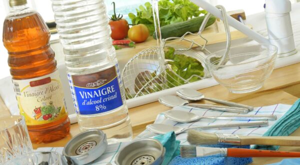 Uses of white vinegar in the house.,Image: 42110902, License: Rights-managed, Restrictions: , Model Release: no, Credit line: CHASSENET / BSIP / Profimedia