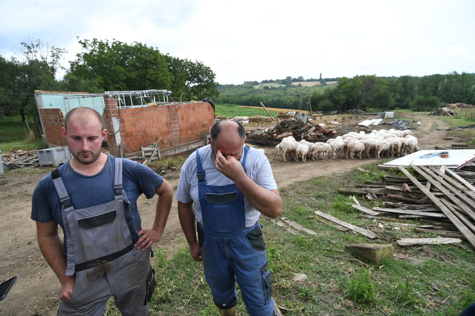 27.06.2024., Nova Pisanica - OPG Merc u vlasnistvu oca Steve i sina Vedrana pretrpjelo je nesagledivu stetu nakon orkanskog nevremena i pijavice koja im je u nekoliko minuta uništila gotov sav njihov visegodisnji trud u stvaranju imetka. Naime, krovista muzilista i staja s nadstresnicom doslovce su odletjele u susjedno dvoriste, pri cemu je uz jos uvijek neprocjenjenu materijalnu stetu stradalo i nekolicina ovaca. Lesine su jos u dvoristu, a 15-ak ovaca je i tesko ozlijedjeno u stadu koje je brojilo 300-ak muznih ovaca. Muziliste je sada "na otvorenom", a sve su ovce ostale bez krova nad glavom. Prvi je dosao pomoci nacelnik Opcine Velika Pisanica Fradi Pali, i naravno sumjestani.  Photo: Damir Spehar/PIXSELL