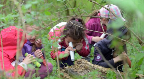 17.04.2015., Varazdin - Fotoklub Sloboda i djecji vrtic Panda sudjeluju u eko projektu Setnja s fotografom, a na danasnjem druzenju clanovi fotokluba prosetali su s djecom po Dravskoj park sumi gdje su djeca, uz pomoc profesionalnih fotografa, zabiljezila detalje iz sume.  rPhoto: Marko Jurinec/PIXSELL