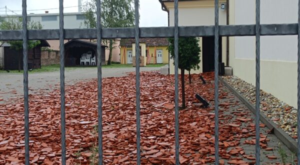 Bošnjaci, 02.07.2024. - Potpredsjednik Vlade i ministar poljoprivrede, šumarstva i ribarstva Josip Dabro će s Franjom Oreškovićem, zamjenikom župana koji obnaša dužnost župana Vukovarsko-srijemske županije i Ivanom Bosančićem, zastupnikom Hrvatskog Sabora posjetili nevremenom pogođene Bošnjake. foto HINA/ Željko DRAŽENOVIĆ/ tm