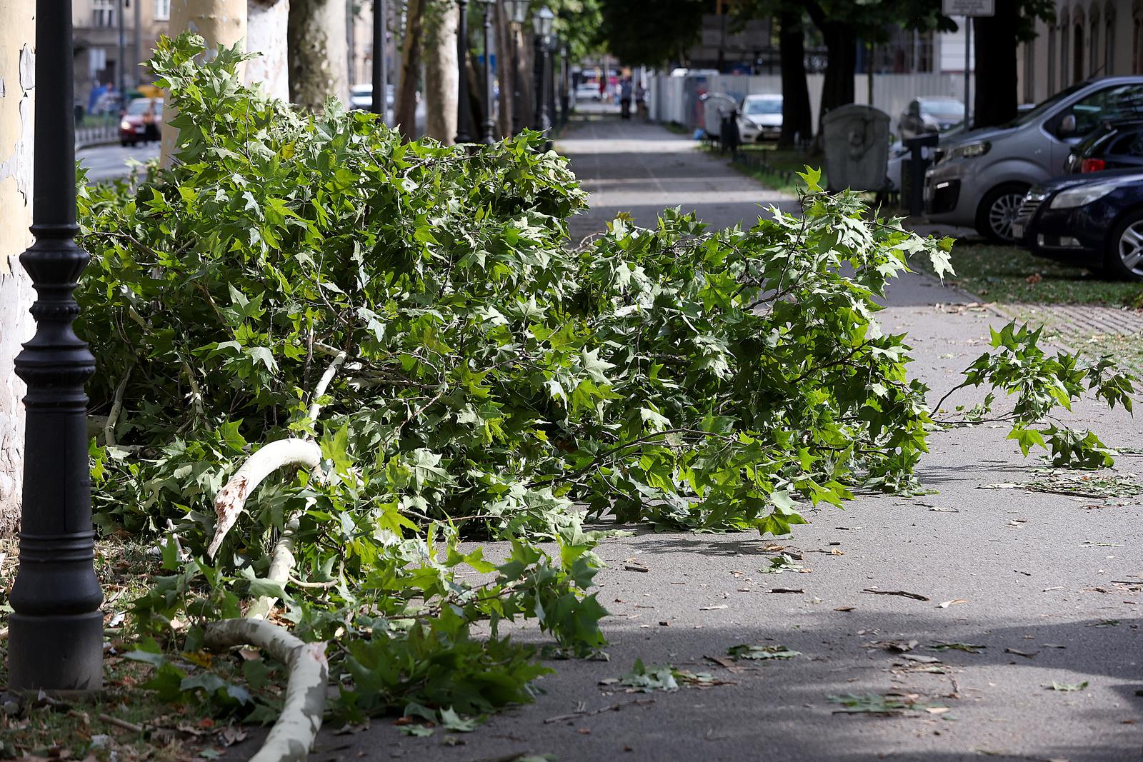01.07.2024., Zagreb - DHMZ za zagrebacku i osjecku regiju upalio je crveni meteoalarm. Veliko nevrijeme stiglo je u popodnevnim satima i do Zagreba. Dio stabla u Ulici Republike Austije srusilo se na cestu uslijed nevremena. Nakon brze intervencije vatrogasaca stablo je podrezano, a promet je normaliziran. Photo: Goran Stanzl/PIXSELL