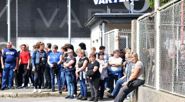 Varteks