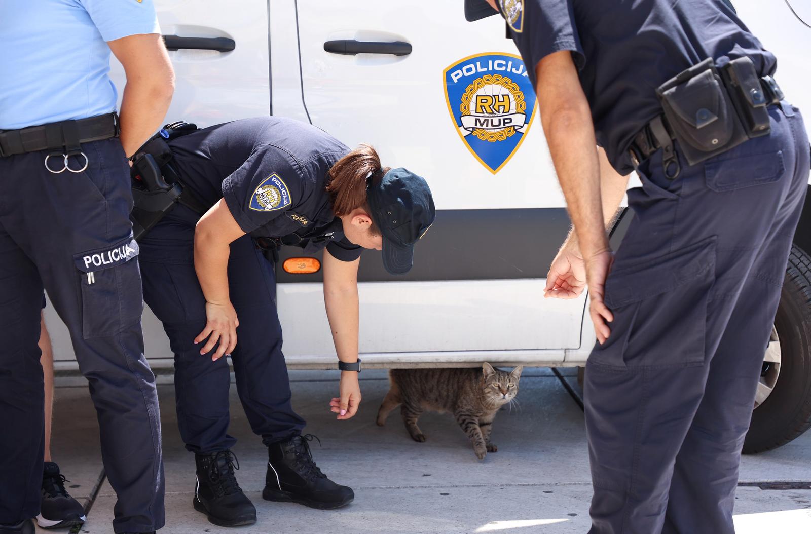 03. 07.2024., Split- Medjunarodna policijska suradnja u okviru projekta Sigurna turisticka destinacija.  Poljski , Ceski, Talijanski, Francuski policajci na raspolaganju su svoim sugradjanima koji su na ljetovanju u Hrvatskoj. Policijska macka, maca je pitoma i svaki dan dodje na rivu u posjet policijskom mobilnom centru Photo: Ivana Ivanovic/PIXSELL