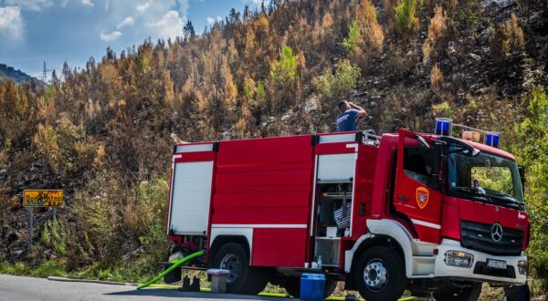 30.08.2024., Zrnovnica  - Zgarista po obroncima Mosora. Photo: Zvonimir Barisin/PIXSELL