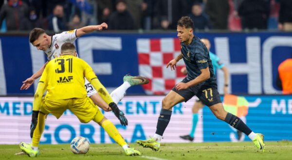 09.11.2024., stadion Velika Gorica - 13. kolo SuperSport HNL-a: HNK Gorica - GNK Dinamo Zagreb. Dario Spikic, 
Kresimir Krizmanic. Photo: Slavko Midzor/PIXSELL
