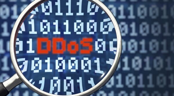 DDoS, attack, DoS, cyberspace, server, DDoS attack, denial of service, overload, data network, hacker, network, data, danger, computer, computer, viruses, trojans, virus, computer virus, scan, botnets, bots, advice, help, 01, magnifying glass, search, find, i,Image: 736914375, License: Royalty-free, Restrictions: , Model Release: no, Credit line: Oliver Boehmer / imageBROKER / Profimedia