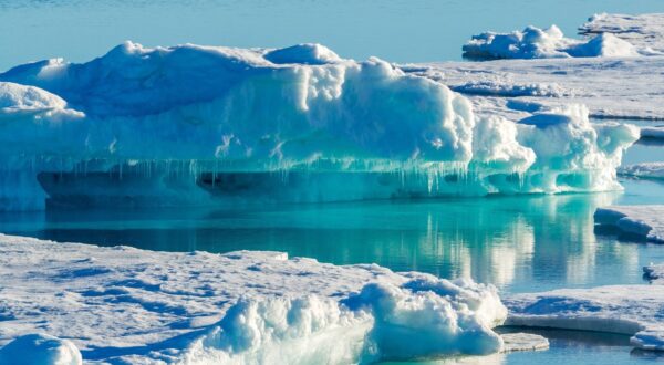 Packeis im Groenlandmeer, Groenland Ice pack in Greenland sea, Greenland BLWS536527 Copyright: xblickwinkel/AGAMI/V.xLegrandx,Image: 728490828, License: Rights-managed, Restrictions: , Model Release: no, Credit line: AGAMI/V. Legrand, / imago stock&people / Profimedia