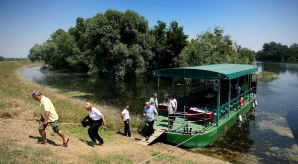 20.06.2013., Kopacki rit - Ustanova park prirode Kopacki rit iscekuje ukidanje  izvanrednog stanja zbog poplava kako bi mogli poceti voziti turisticke voznje brodom.  rPhoto: Davor Javorovic/PIXSELL