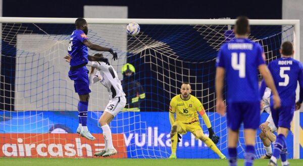 15.02.2025., stadion Maksimir, Zagreb - SuperSport HNL, 22. kolo, GNK Dinamo - HNK Gorica. Wilfried Kanga, Kresimir Krizmanic Photo: Marko Prpic/PIXSELL