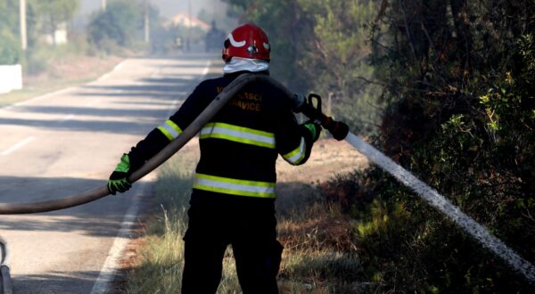 31.07.2024., Plastovo - Vatrogasci se bore s pozarom koji je zahvatio sumu na potezu mjesta Plastovo i Dubravica nedaleko nacionalnog parka Krka. Photo: Dusko Jaramaz/PIXSELL