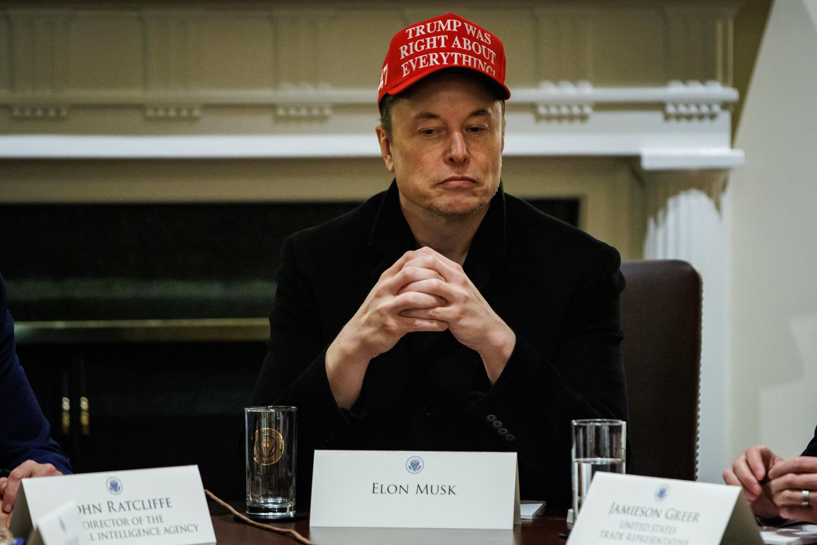 Elon Musk, Tesla CEO and Senior Advisor to the President of the United States, attends a meeting with President Donald Trump and members of his Cabinet in the Cabinet Room at the White House in Washington, D.C. on March 24, 2025. (Photo by Samuel Corum/Sipa USA) Photo: Sipa USA/SIPA USA