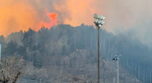 epa11927263 A handout photo made available by Ofunato City via Jiji Press shows wilfires in Ofunato, Iwate prefecture, northeastern Japan, 26 February 2025 (issued 27 February 2025). According to the prefectural police, a body was found in Ayazato, Sanriku Town, Iwate Prefecture as the area destroyed by the fire is over 600 hectares. At least 84 buildings have been destroyed by the fire, and local firefighters are continuing firefighting efforts.  EPA/Ofunato City via JIJI PRESS / HANDOUT JAPAN OUTHANDOUT EDITORIAL USE ONLY/NO SALES