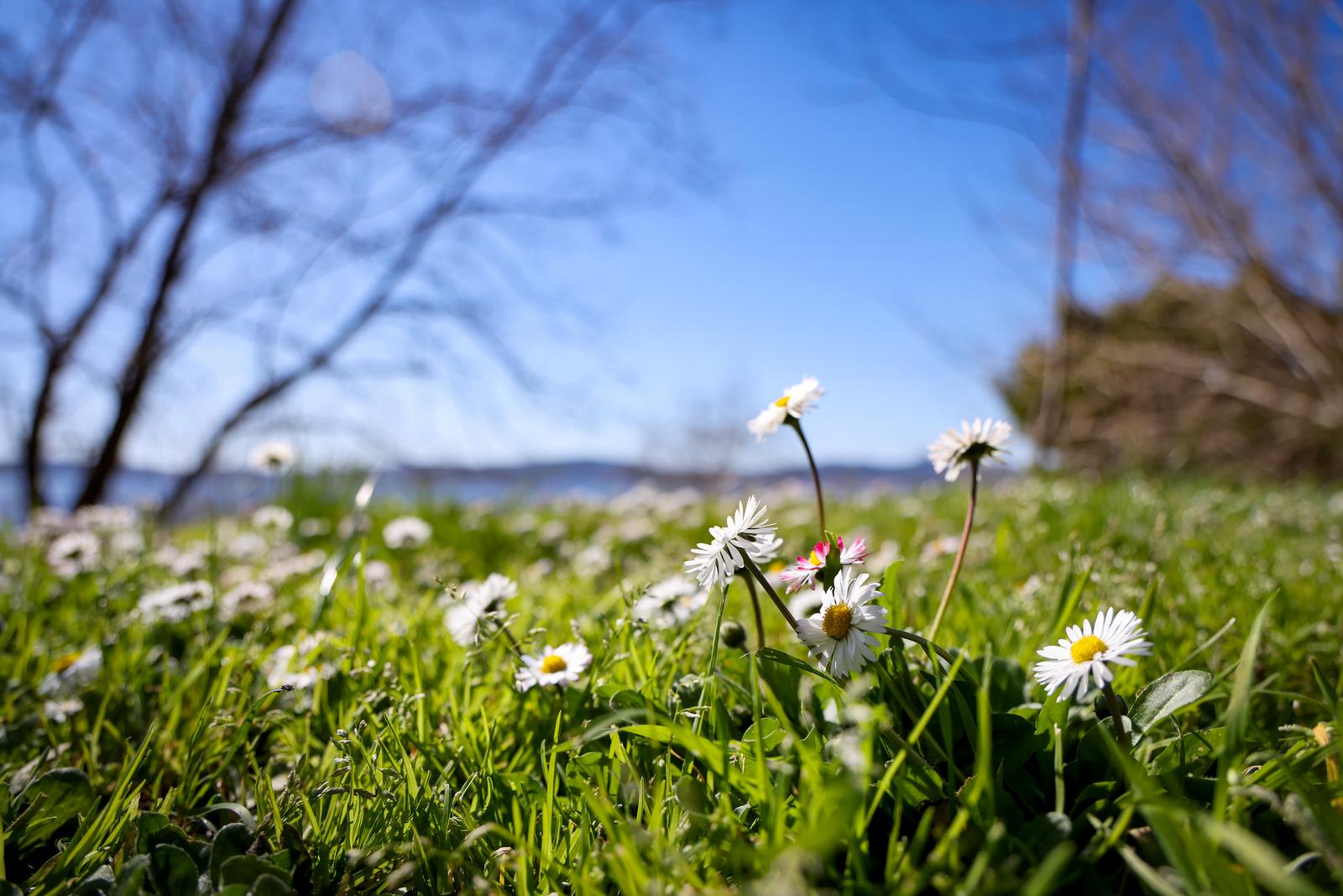 03.03.2025., Zadar - Proljetni dan na zadarskoj plazi Kolovare Photo: Sime Zelic/PIXSELL